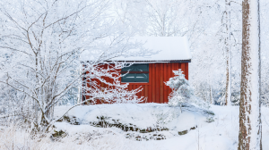 冬採用の特徴冬採用が「穴場」になりやすい3つの理由